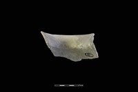 陶罐藏品圖，第2張